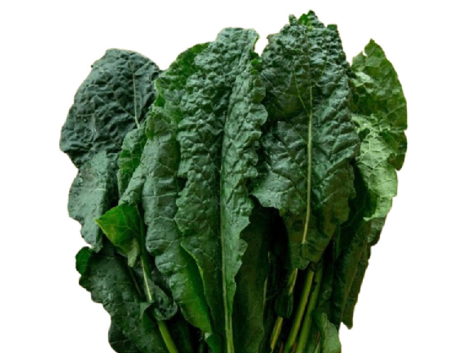 cavolo nero